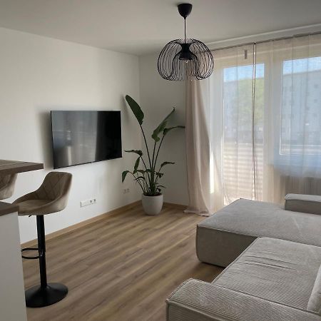 Neue Stilvolle 2-Zimmer Wohnung Im Zentrum Von Wolfsburg Eksteriør billede